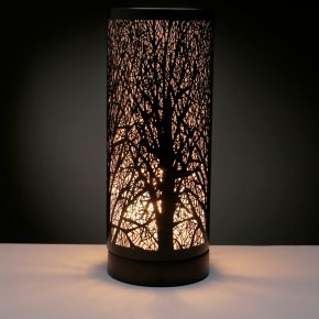 LAMP09E_001.jpg