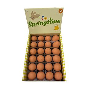 Springtime Studsande Gummiägg