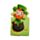 Luck of the Irish Irland Magnetiskt Bokmärke-Set