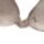 Relaxeazzz Pusheen the Cat Plysch Resekudde Minneskum