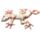 Sandfylld Gecko