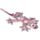 Sandfylld Salamander