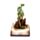 Dark Legends LED Enchanted Fairytale Castle Earth Drake