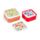 3-Pack Lunchlådor M/L/XL - Tulip Tulpaner