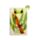 Tropical Frogs Groda Fickspegel i Fodral