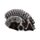 Halloween Skelett 12-Pack 3ply Party Pappersservetter