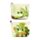 Tropical Frogs Groda PVC Portmonnä