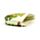 Tropical Frogs Groda PVC Portmonnä