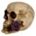 Skull and Bones Dödskalle med Lila Rosor