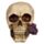 Skull and Bones Dödskalle med Lila Rosor
