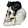 Dödskalle med Svart Katt Ornament