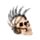 Punk Dödskalle med Kedjor och Mohican