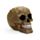 Dödskalle med Krokodilskinneffekt Ornament