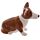 Drottning och Corgi Hund Salt &Peppar Set