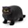 Töjbar Tjock Katt Leksak