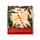 Christmas Botanicals Matchbook Nagelfil
