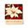 Christmas Botanicals Matchbook Nagelfil