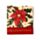 Christmas Botanicals Matchbook Nagelfil