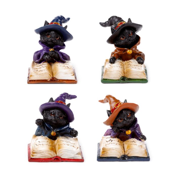 Svart Katt Läser Magisk Trollformlersbok