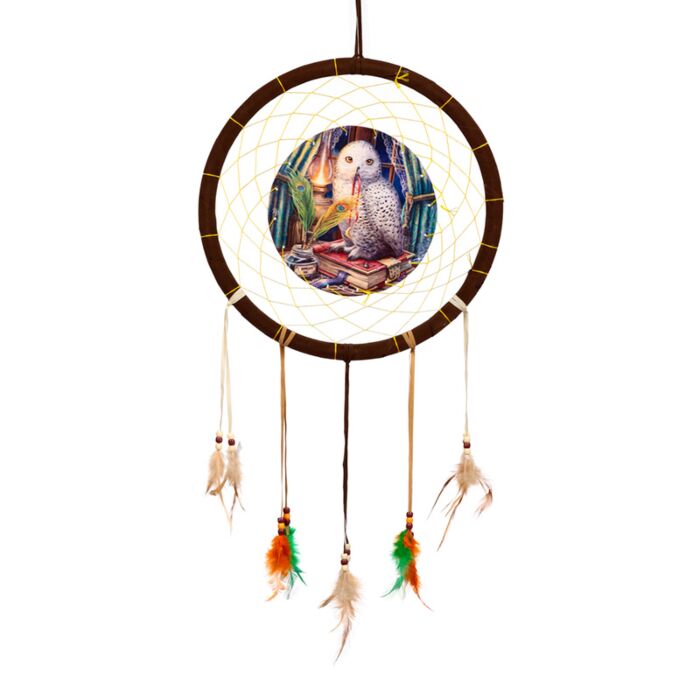 Lisa Parker Guardian Of Spells Uggla Drömfångare 33cm