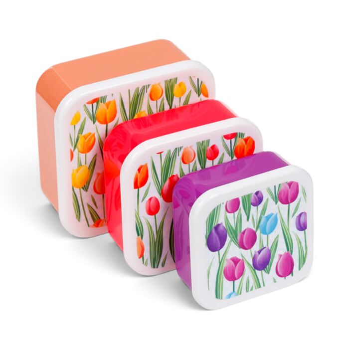 3-Pack Lunchlådor M/L/XL - Tulip Tulpaner