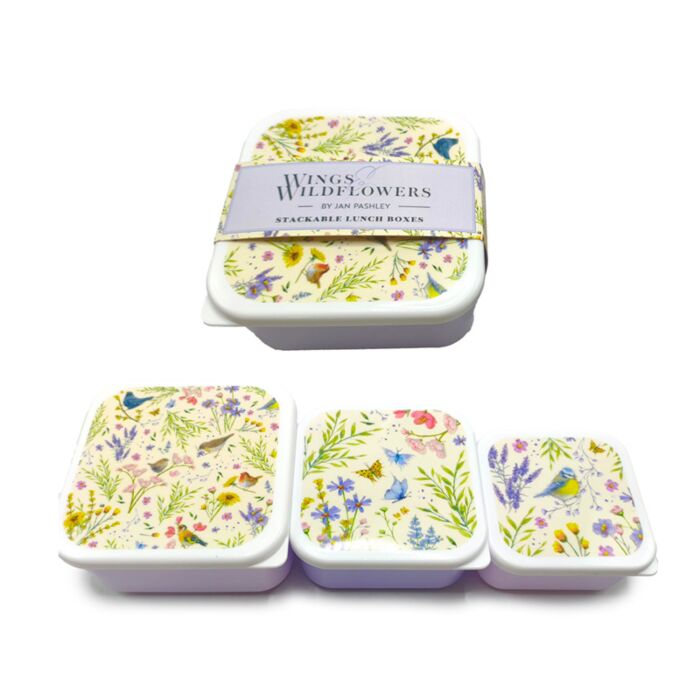 3-Pack Lunchlådor S/M/L Jan Pashley Wings & Wildflowers