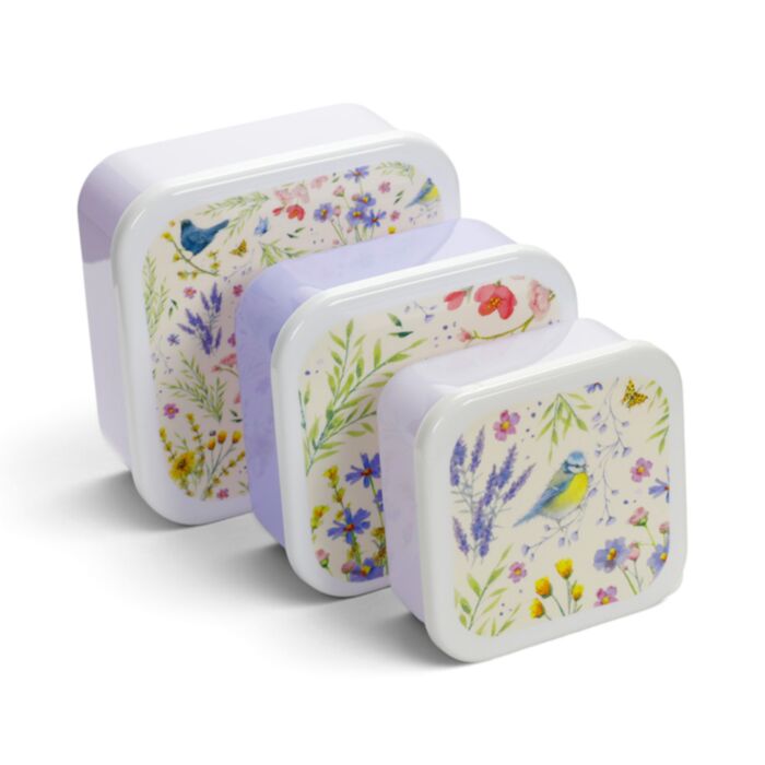 3-Pack Lunchlådor S/M/L Jan Pashley Wings & Wildflowers