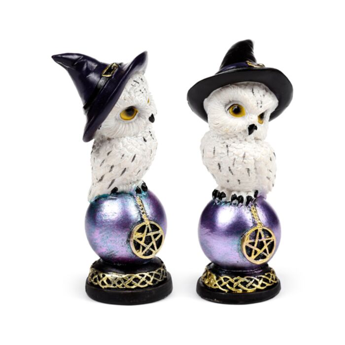 Wise Old Magical Owl Uggla på Skimrande Orb