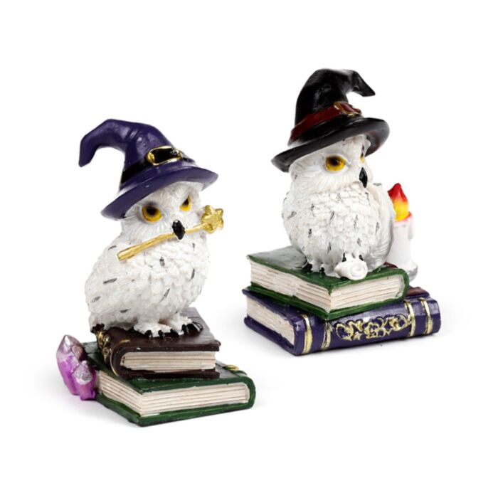 Wise Old Magical Owl Uggla på Trollformelsböcker