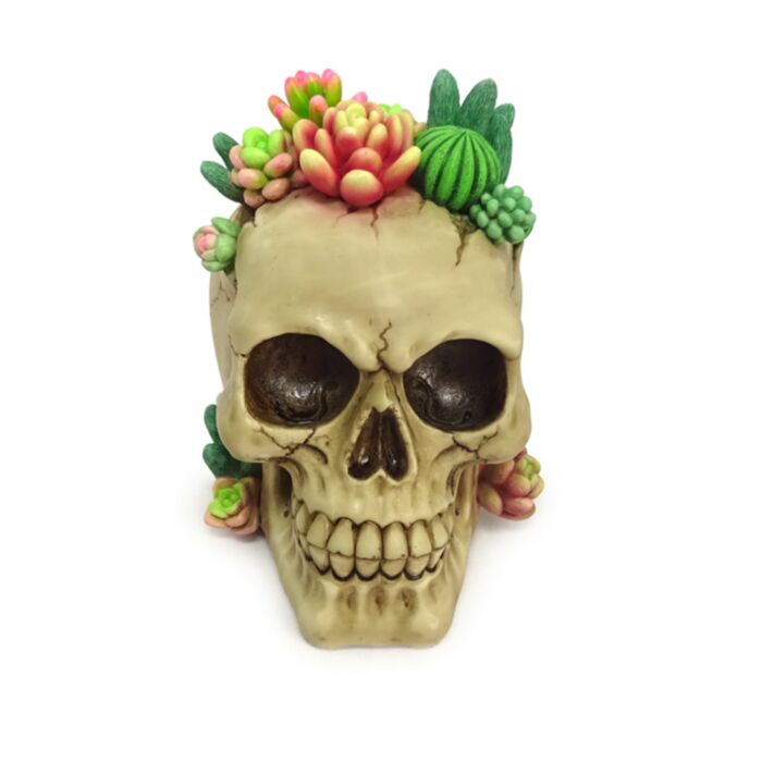 Dödskalle med Suckulent Växter Ornament