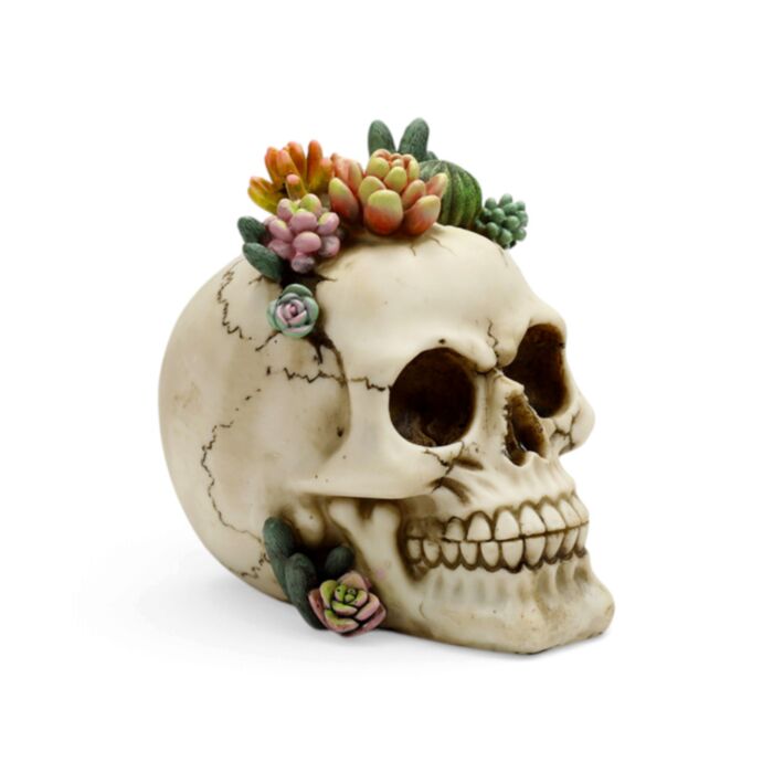Dödskalle med Suckulent Växter Ornament