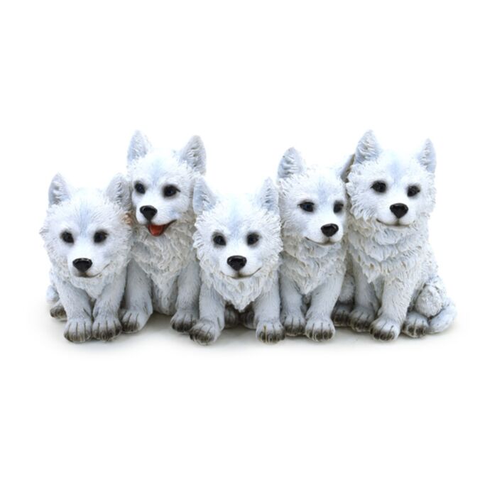 5 Busiga Vargungar