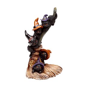 Svart Katt Klättrar på Kvast