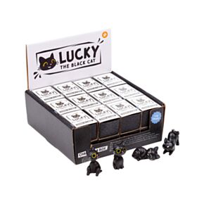 Lucky the Black Cat Svart Katt Figur i Låda