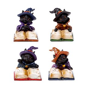 Svart Katt Läser Magisk Trollformlersbok