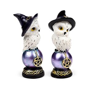 Wise Old Magical Owl Uggla på Skimrande Orb