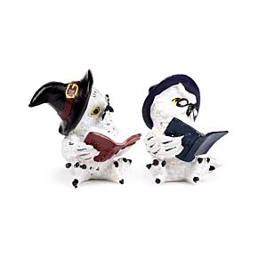 Wise Old Magical Owl Uggla Läser Trollformelsböcker