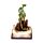 Dark Legends LED Enchanted Fairytale Castle Earth Drake