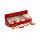 Christmas Botanicals Matchbook Nagelfil