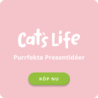 Cat's Life